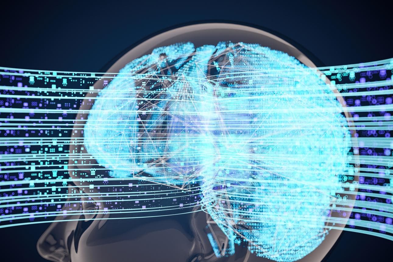 The AI Science of Timing: Finding Your Optimal Decision Windows